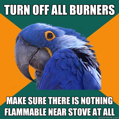 Turn off all burners Make sure there is nothing flammable near stove at all  Paranoid Parrot