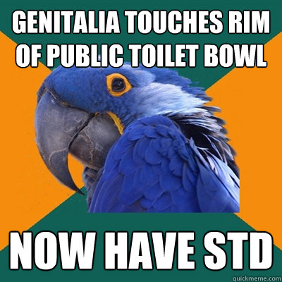 Genitalia touches rim of public toilet bowl now have std  Paranoid Parrot