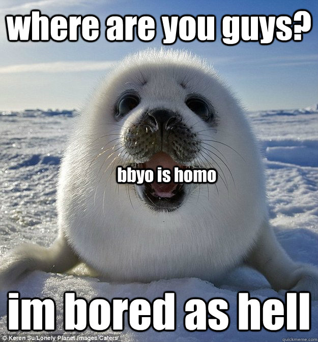 where are you guys? im bored as hell bbyo is homo  Easily Pleased Seal