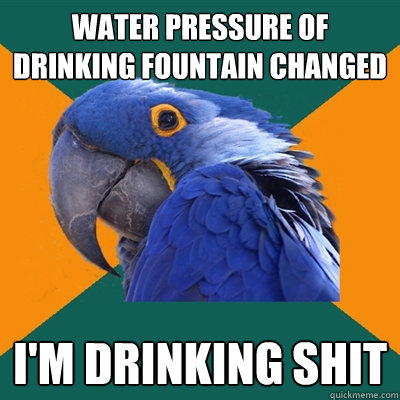 water pressure of drinking fountain changed i'm drinking shit  Paranoid Parrot
