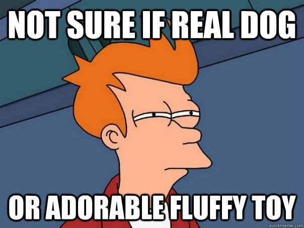 Not sure if real dog or adorable fluffy toy  Futurama Fry