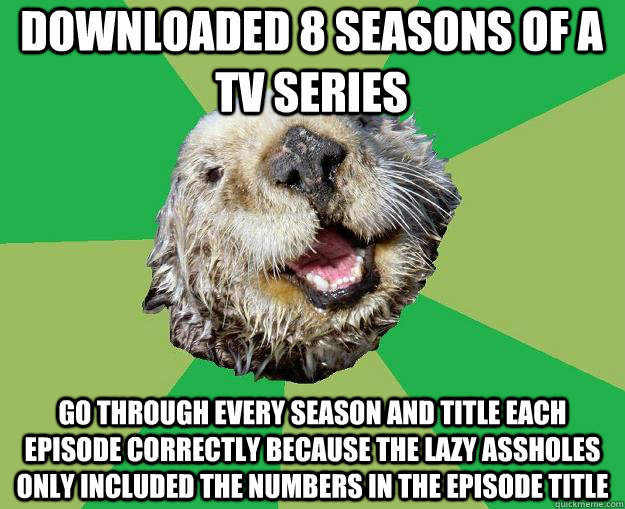 downloaded 8 seasons of a tv series go through every season and title each episode correctly because the lazy assholes only included the numbers in the episode title - downloaded 8 seasons of a tv series go through every season and title each episode correctly because the lazy assholes only included the numbers in the episode title  OCD Otter