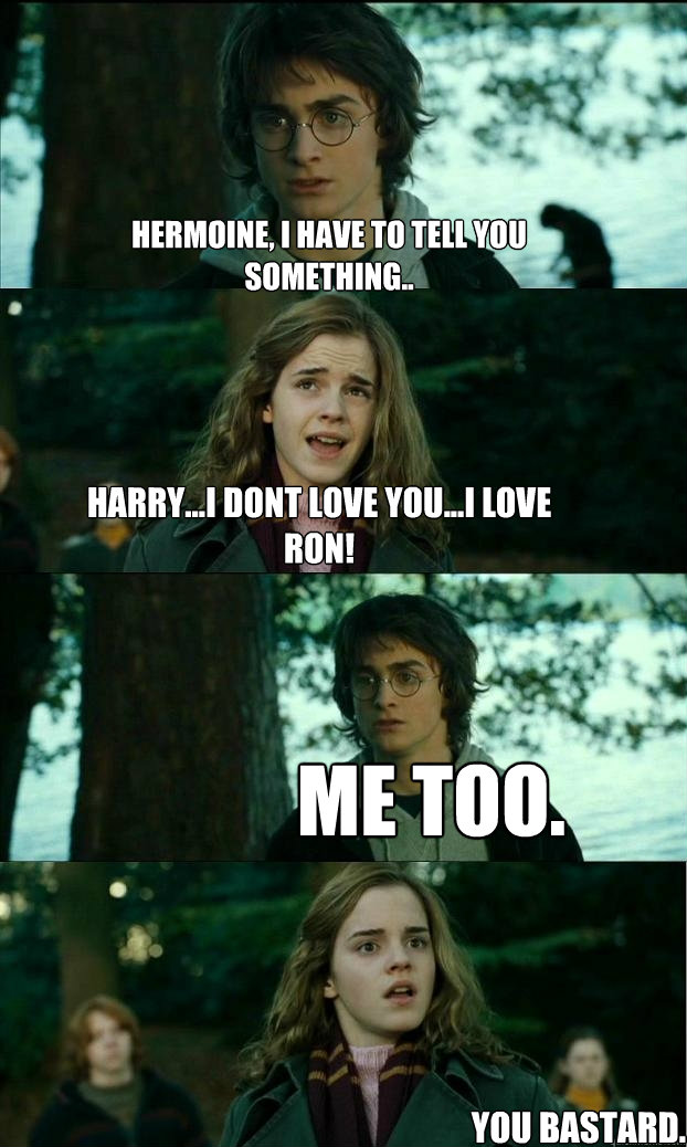 hermoine, i have to tell you something.. HARRY...I DONT LOVE YOU...I LOVE RON! Me too. You Bastard.  Horny Harry