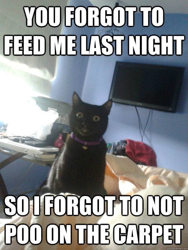 you forgot to feed me last night so I forgot to not poo on the carpet  overly attached cat