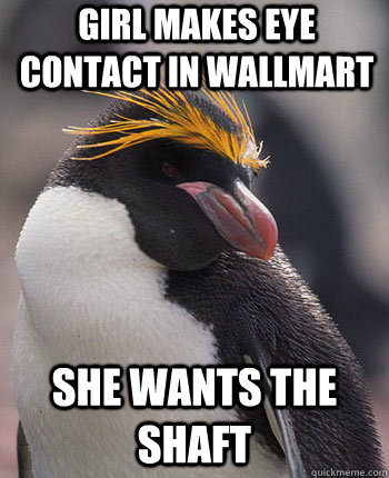 girl makes eye contact in wallmart she wants the shaft - girl makes eye contact in wallmart she wants the shaft  Socially Overconfident Penguin