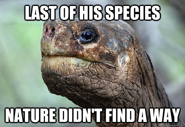 Last of his species Nature didn't find a way - Last of his species Nature didn't find a way  Lonesome George