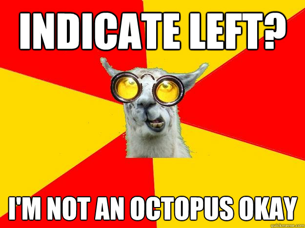 indicate left? i'm not an octopus okay  Learner Driver Llama