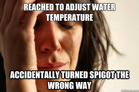 reached to adjust water temperature accidentally turned spigot the wrong way  First World Problems