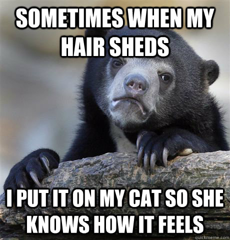 Sometimes when my hair sheds I put it on my cat so she knows how it feels  Confession Bear