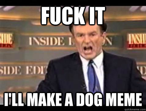 Fuck it I'll make a dog meme  Bill OReilly Fuck It