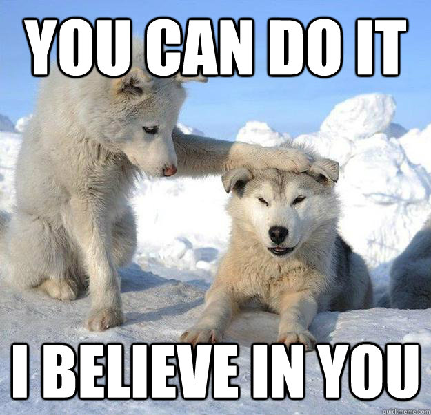 you can do it i believe in you - you can do it i believe in you  Caring Husky