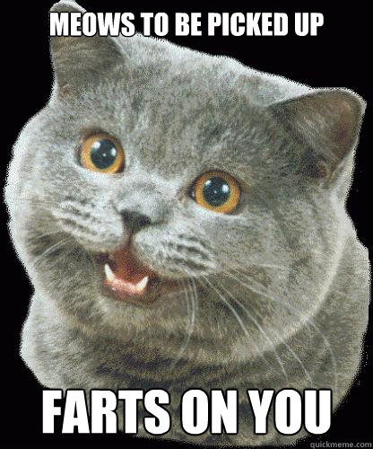 MEOWS TO BE PICKED UP FARTS ON YOU  