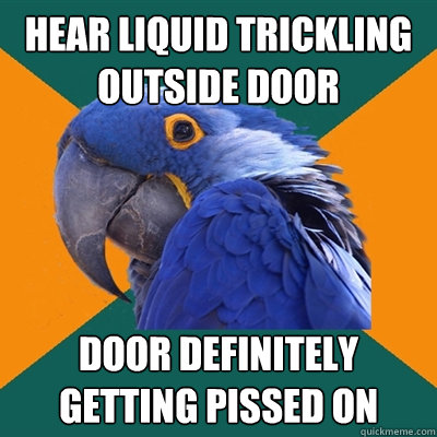 hear liquid trickling outside door door definitely getting pissed on  Paranoid Parrot