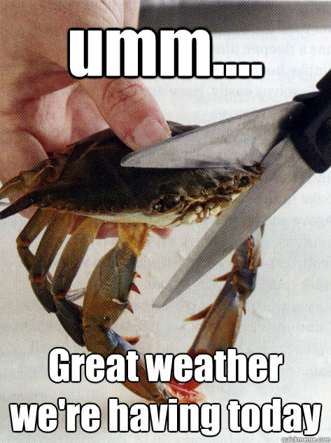 umm.... Great weather we're having today - umm.... Great weather we're having today  Optimistic Crab