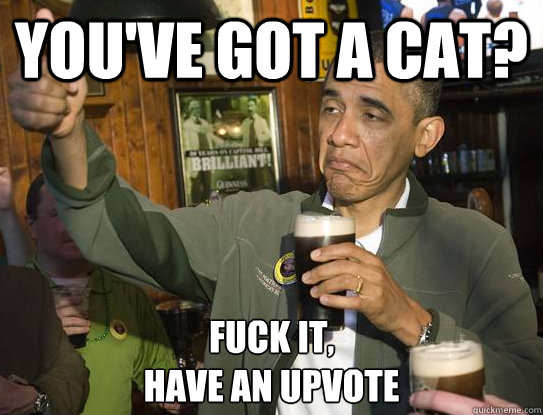 You've got a cat? Fuck it,
have an upvote  Upvoting Obama