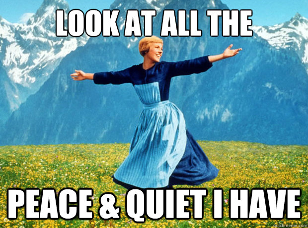 Look at all the peace & quiet i have - Look at all the peace & quiet i have  Sound of Music- Election
