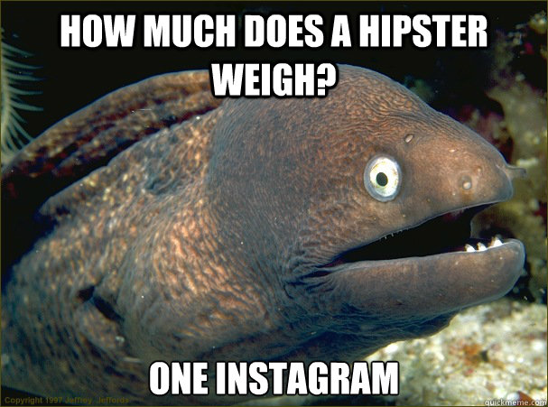 How much does a hipster weigh? one instagram - How much does a hipster weigh? one instagram  Bad Joke Eel