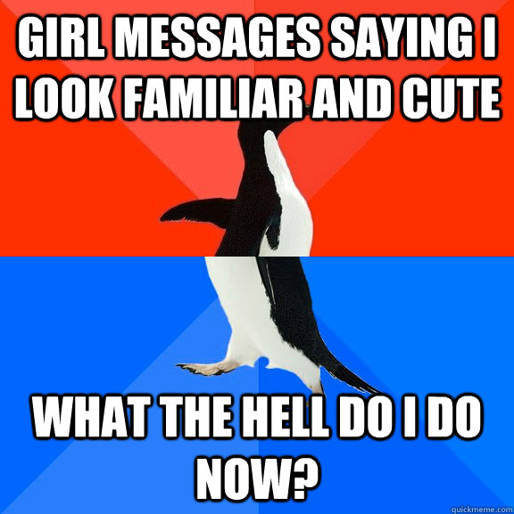 Girl messages saying I look familiar and cute What the hell do I do now?  Socially Awesome Awkward Penguin