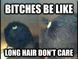 Bitches be LIKE LONG HAIR DON'T CARE  