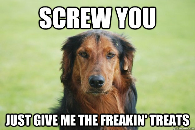 screw you just give me the freakin' treats  Careless Canine