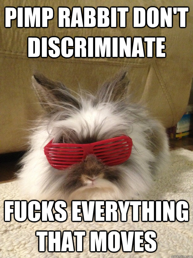 Pimp rabbit don't discriminate Fucks Everything that moves  