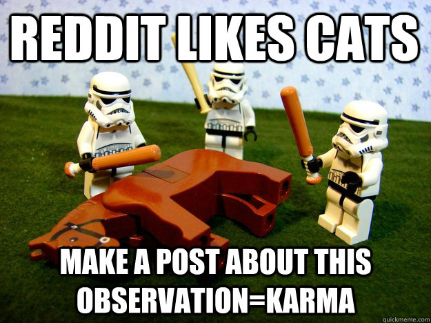 Reddit likes cats Make a post about this observation=karma  Dead Horse