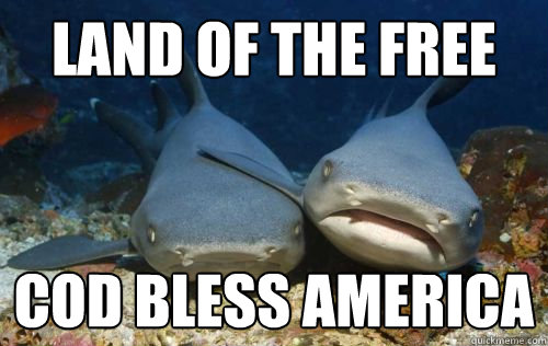 Land of the free Cod Bless America - Land of the free Cod Bless America  Compassionate Shark Friend