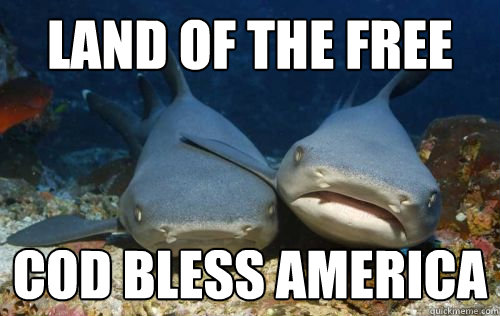 Land of the free Cod Bless America  Compassionate Shark Friend
