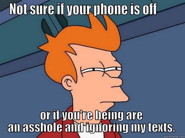 NOT SURE IF YOUR PHONE IS OFF        OR IF YOU'RE BEING ARE AN ASSHOLE AND IGNORING MY TEXTS. Futurama Fry