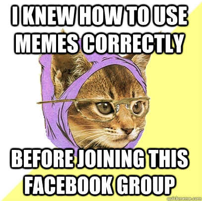 I knew how to use memes correctly before joining this facebook group  Hipster Kitty