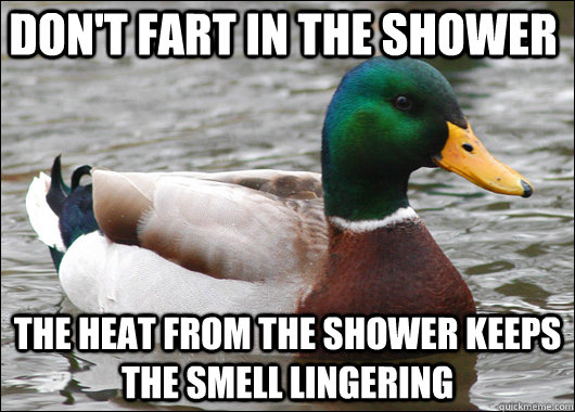 don't fart in the shower the heat from the shower keeps the smell lingering  Actual Advice Mallard