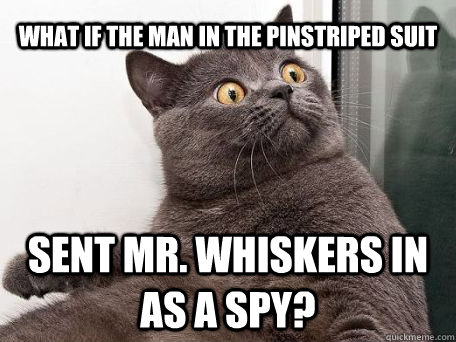 what if the man in the pinstriped suit sent Mr. Whiskers in as a spy? - what if the man in the pinstriped suit sent Mr. Whiskers in as a spy?  Misc