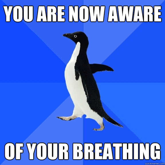 you are now aware of your breathing  Socially Awkward Penguin