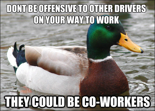 dont be offensive to other drivers on your way to work they could be co-workers  Actual Advice Mallard