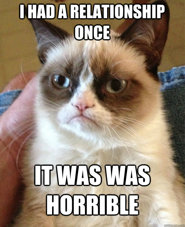 I had a relationship once  It was was horrible  Grumpy Cat