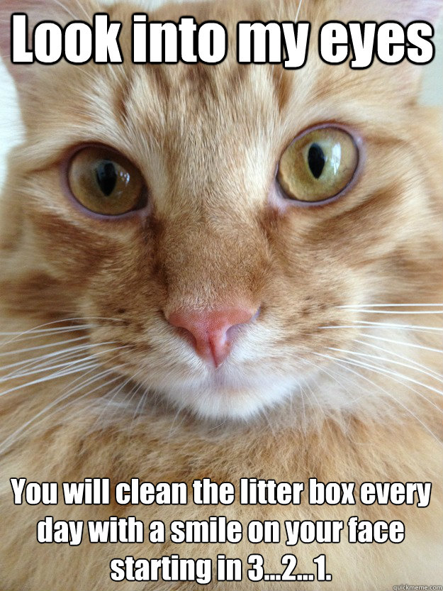 Look into my eyes You will clean the litter box every day with a smile on your face 
starting in 3...2...1.  Hypno Cat