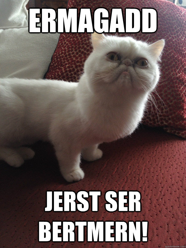 ERMAGADD jerst ser bertmern!  ERMAGAD