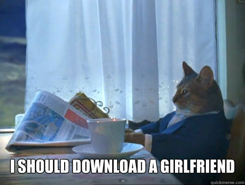  i should download a girlfriend  The One Percent Cat