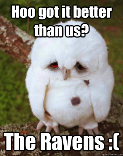 Hoo got it better than us?                                                                                                                                   The Ravens :( - Hoo got it better than us?                                                                                                                                   The Ravens :(  Depressed Baby Owl
