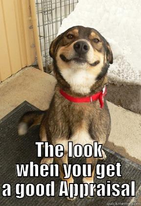  THE LOOK WHEN YOU GET A GOOD APPRAISAL Good Dog Greg