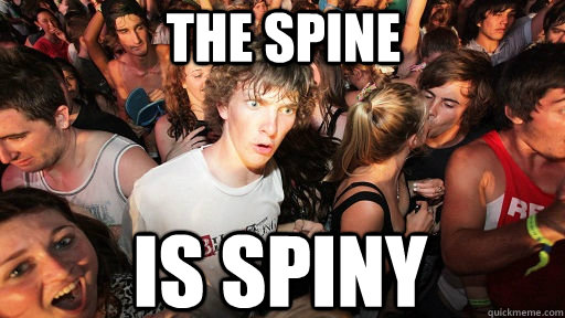 The spine is spiny  Sudden Clarity Clarence