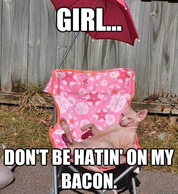 Girl... don't be hatin' on my bacon. - Girl... don't be hatin' on my bacon.  Nude Cat