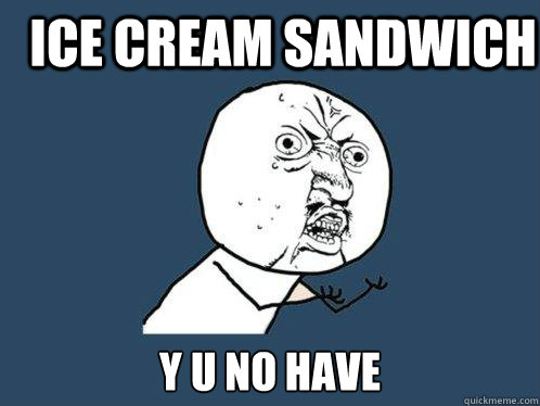 iCE CREAM SANDWICH y u no have   Y U No