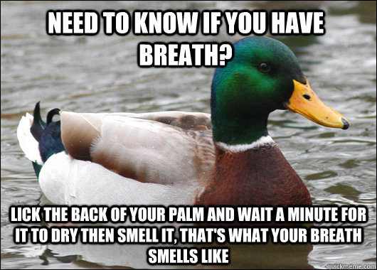 Need to know if you have breath? Lick the back of your palm and wait a minute for it to dry then smell it, that's what your breath smells like  Actual Advice Mallard