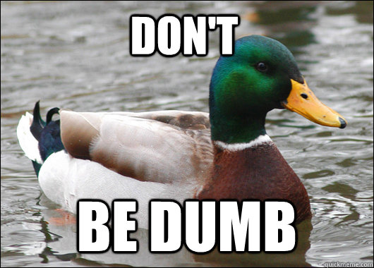 Don't be dumb - Don't be dumb  Actual Advice Mallard
