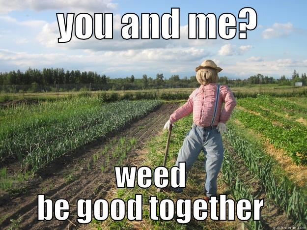 weed be good -         YOU AND ME?        WEED BE GOOD TOGETHER Scarecrow