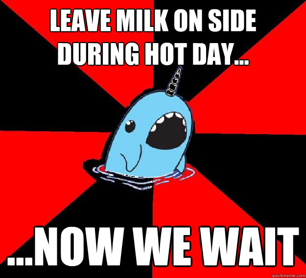 leave milk on side during hot day... ...now we wait  