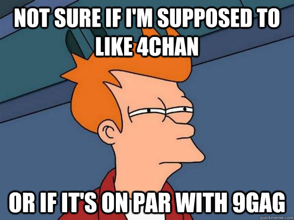Not sure if I'm supposed to like 4chan Or if it's on par with 9gag  Futurama Fry