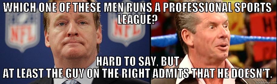 Goofball Goodell and Maniac McMahon - WHICH ONE OF THESE MEN RUNS A PROFESSIONAL SPORTS LEAGUE? HARD TO SAY, BUT AT LEAST THE GUY ON THE RIGHT ADMITS THAT HE DOESN'T. Misc