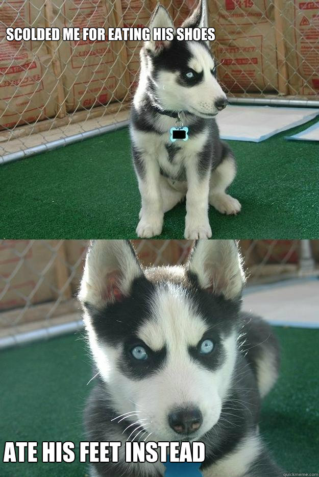 Scolded me for eating his shoes



 Ate his feet instead  Insanity puppy